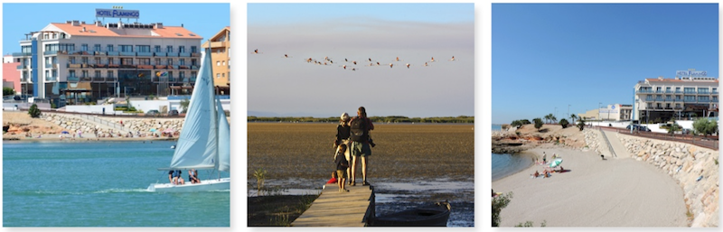 VIVE EL DELTA DEL EBRO EN FAMILIA. ¡RECOMENCEMOS! - Sortir ...