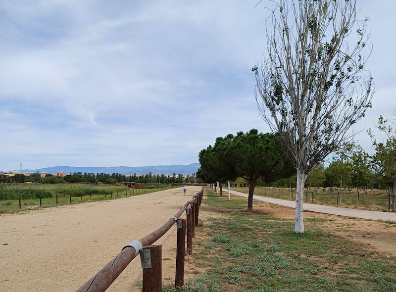 Parc de la Torre d'en Dolça