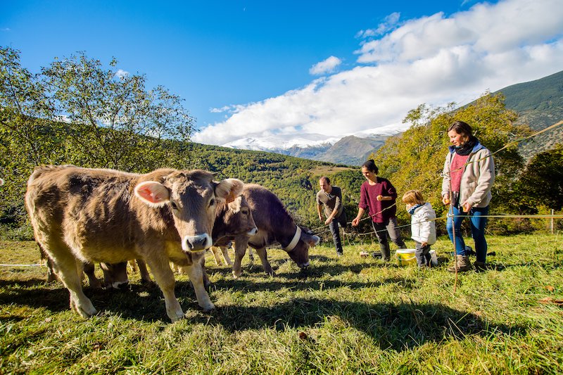 cases rurals a catalunya